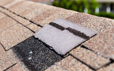 Is It Time for a New Roof? Signs to Look for and How to Choose the Right Material