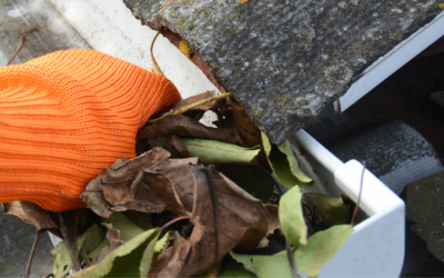 The Unsung Heroes of Your Home: A Comprehensive Guide to Gutters